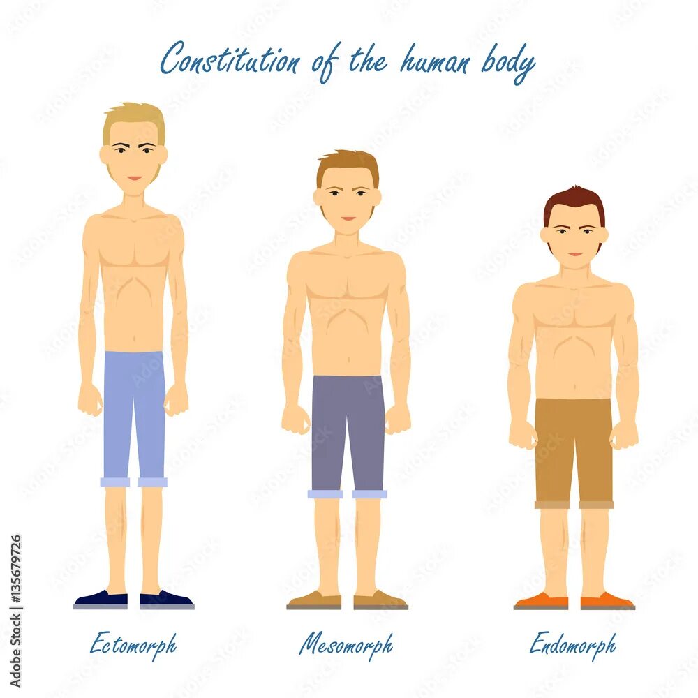 This type of body