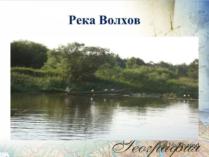 Сообщение о реке волхов 4 класс. Река волхов притоки на карте. Река волхов ленинградская область. Волховстрой река. Устье реки волхов великий новгород.