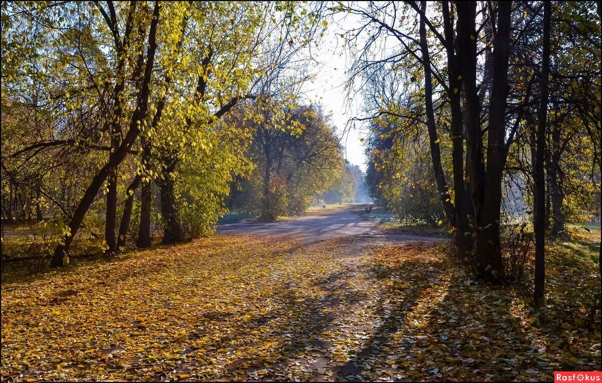 солнечное затмение. солнечный октябрь 2023. солнечное затмение в новосибирске. солнечный октябрь 2023. солнечное затмение 25 октября 2022 петрозаводск.