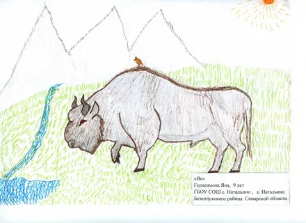 Красная книга рисунки 2 класс