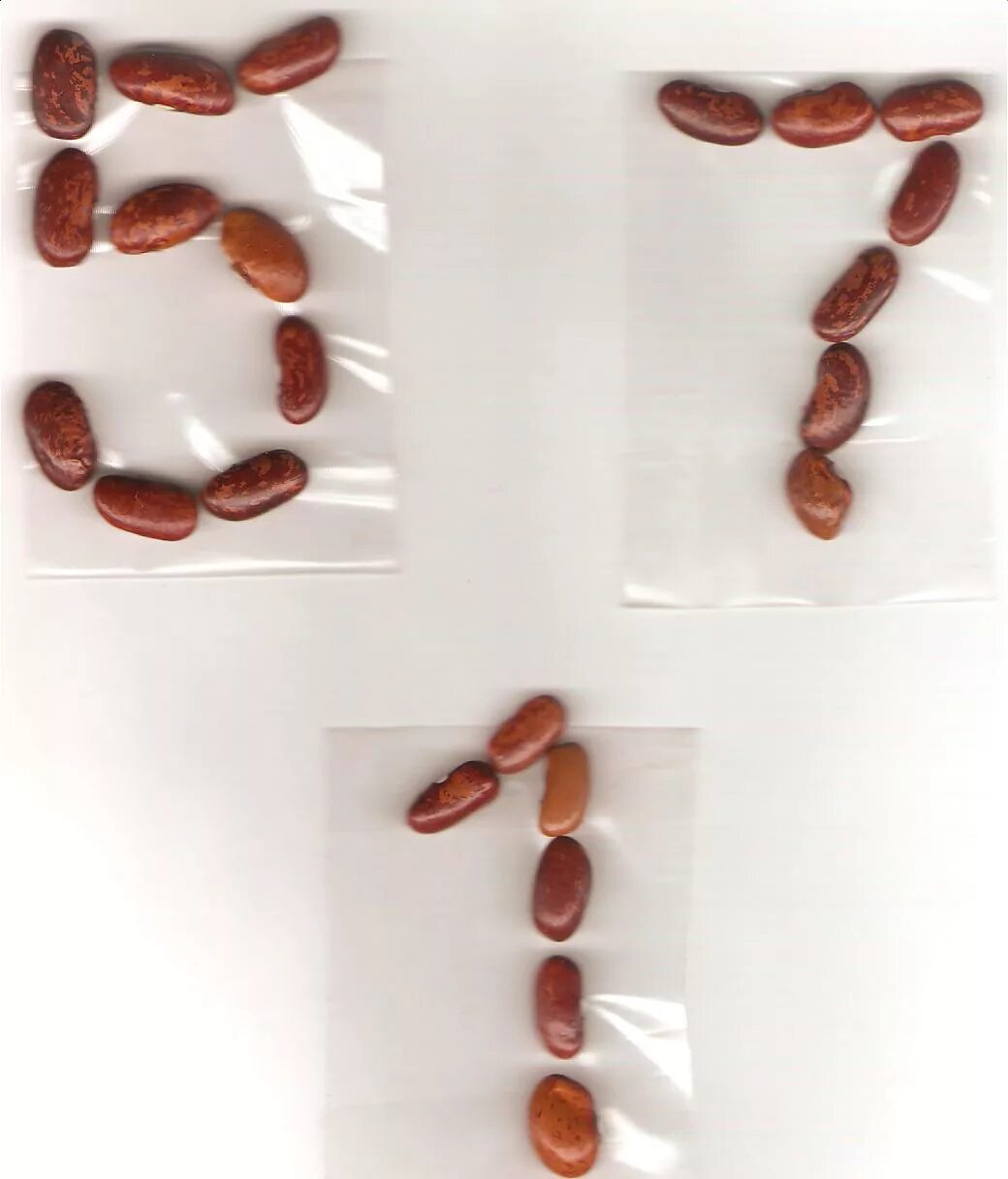 Поделки из кофейных зёрен. Кофейные зерна на белом фоне. Цифра 9 розовая красивая. Coffee bean counter. Дорожки для выкладывания фасолью.