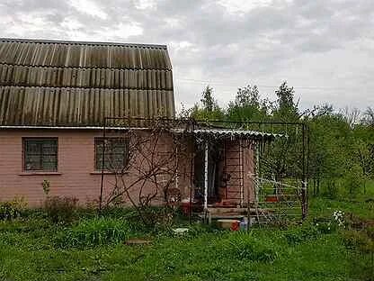 Снт заря воронежская область