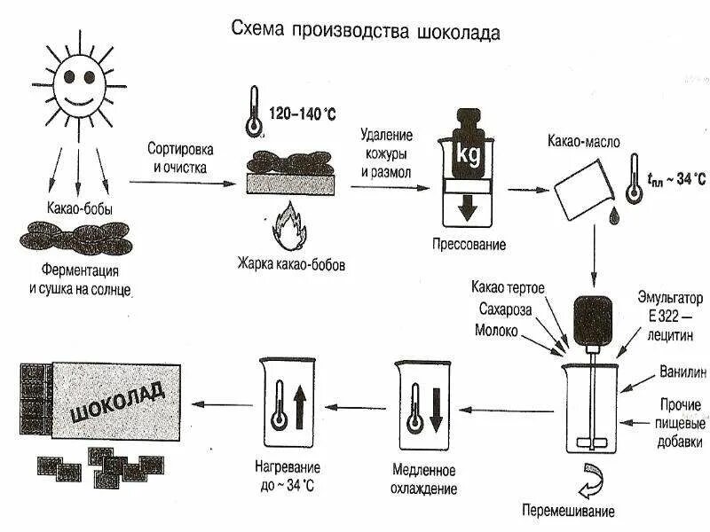 Шоколадка схема. Технологическая схема производства пористого шоколада. Технологический процесс шоколада. Схема производства шоколада. Технология производства шоколада схема.