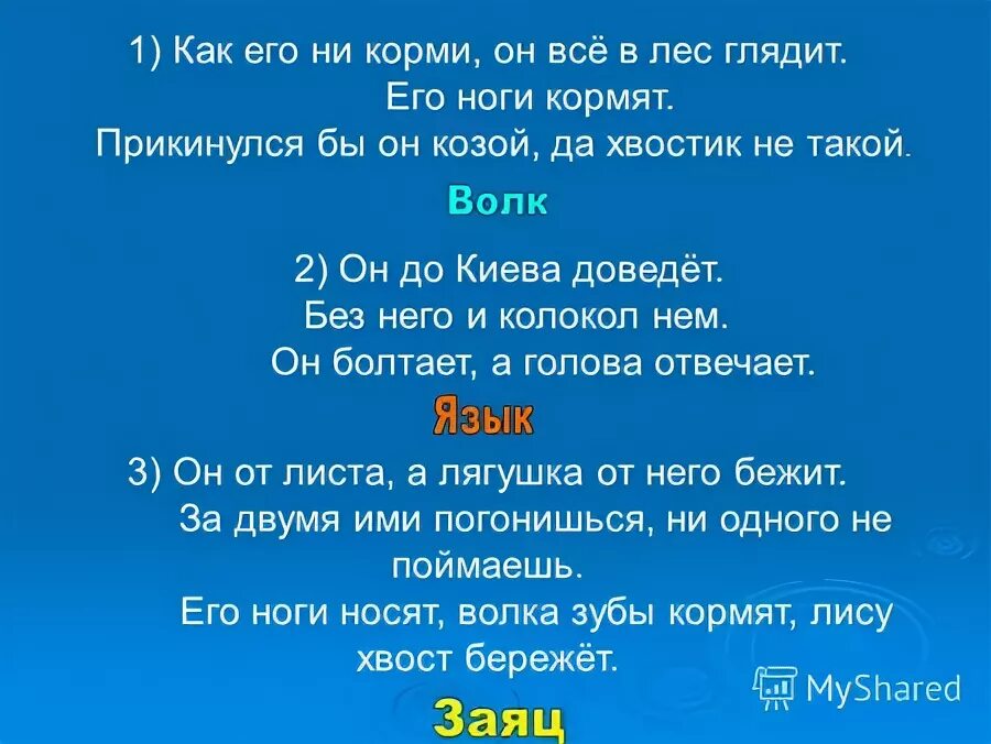 Зайца ноги носят волка зубы кормят лису хвост бережет. Зубы кормят ноги носят хвост бережет. Пословицы. Зубы кормят ноги носят хвост бережет. Зубы кормят ноги носят хвост бережет.