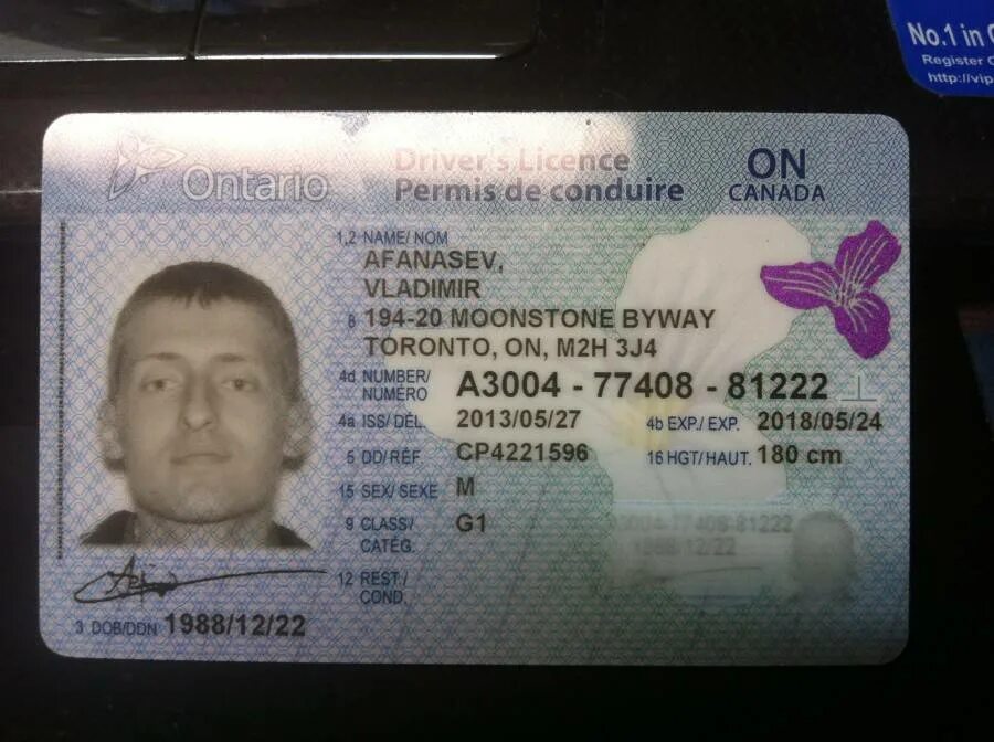 Со скольки водят в америке. Совершеннолетие по штату сша. Со скольки водят в америке. Со скольки водят в америке. Водительские права сша.