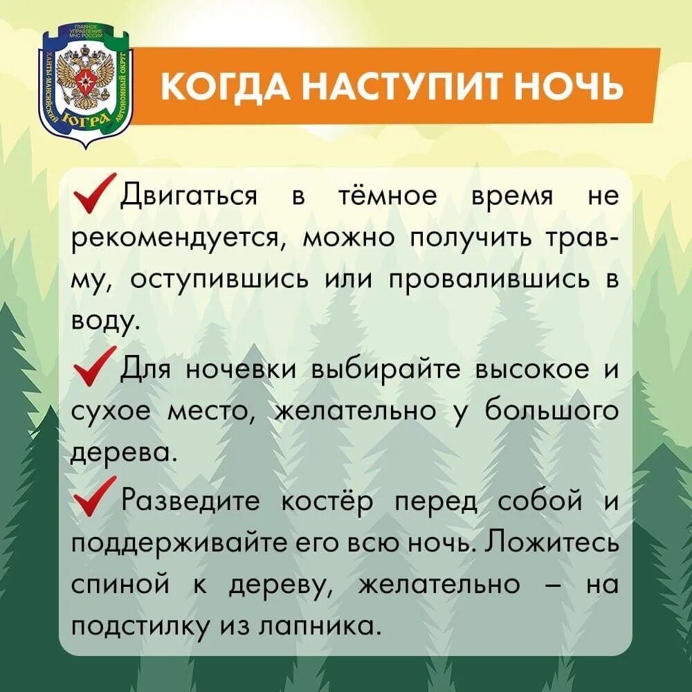 Что нужно делать в лесу если заблудился. Памятка чтобы не заблудиться в лесу. Памятка если заблудился в лесу. Памятка ел и ты заблудился в лесу. Памятка заблудившемуся в лесу.