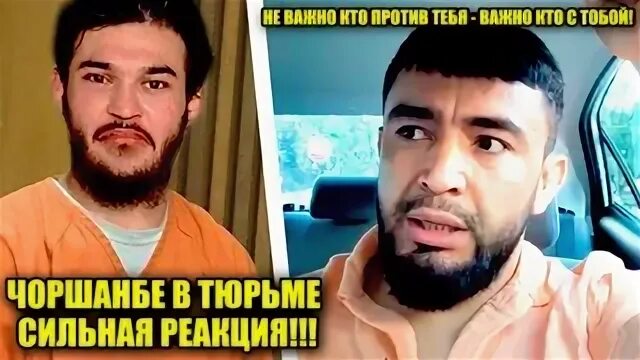 Когда выпустят чоршанбе. Когда выпустят чоршанбе