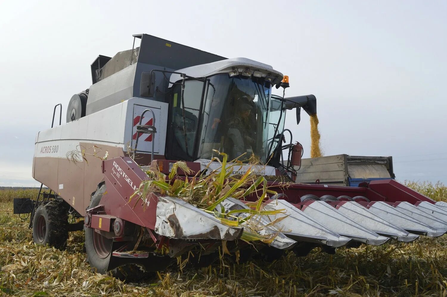 заря спк 1. схпк восход калтасинского района. комбайн gs3219. спк техника. спк заря черепановский район новосибирская область.