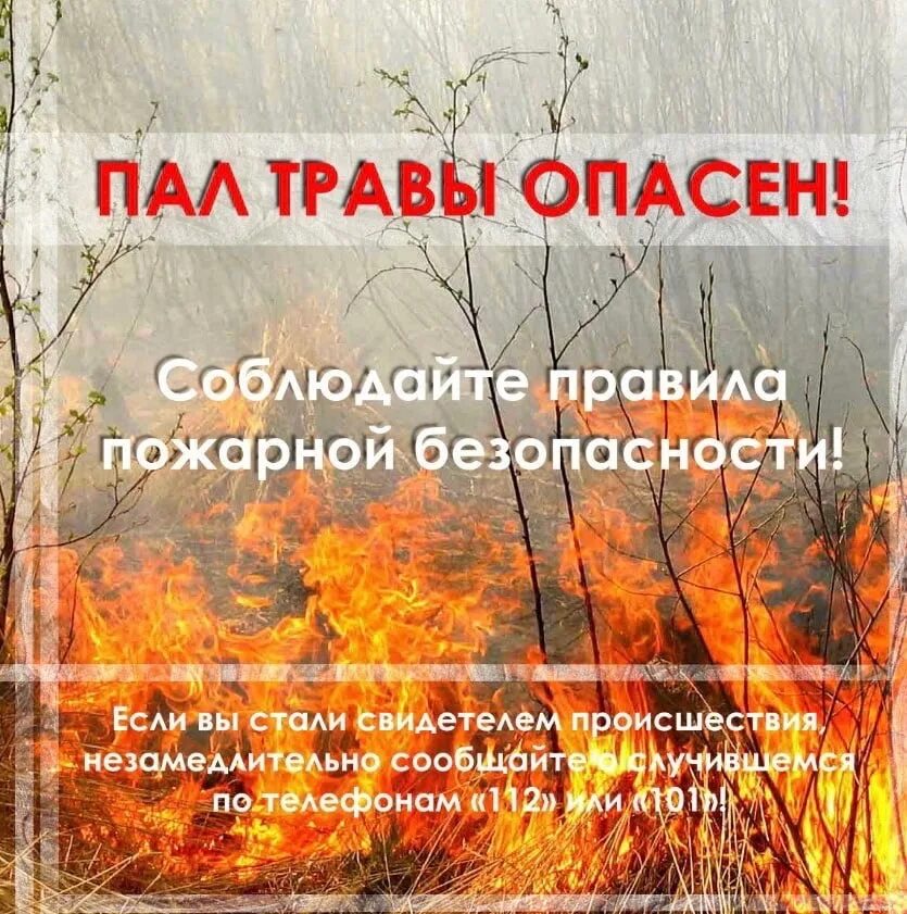 Акции пал пал. Пожарная безопасность пал травы. Памятка не жгите сухую траву. Сухая трава пожарная безопасность. Пал травы запрещен.