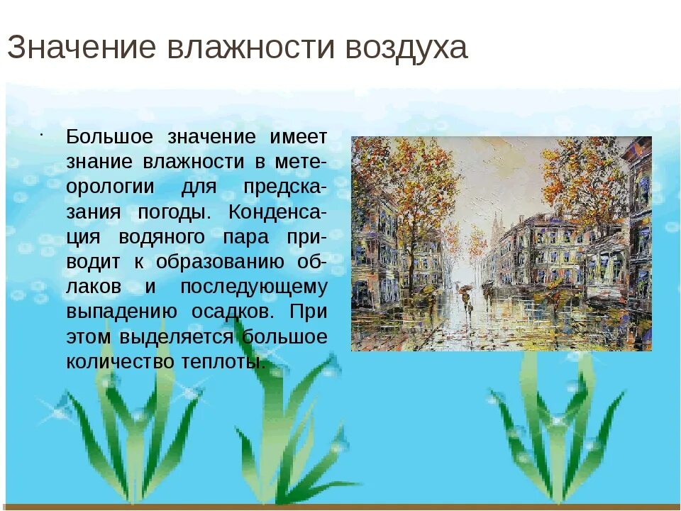 Какое значение имеет влажность. Влияние влажности на природу. влияние влажности воздуха на природу. значение влажности воздуха. влажность в природе.