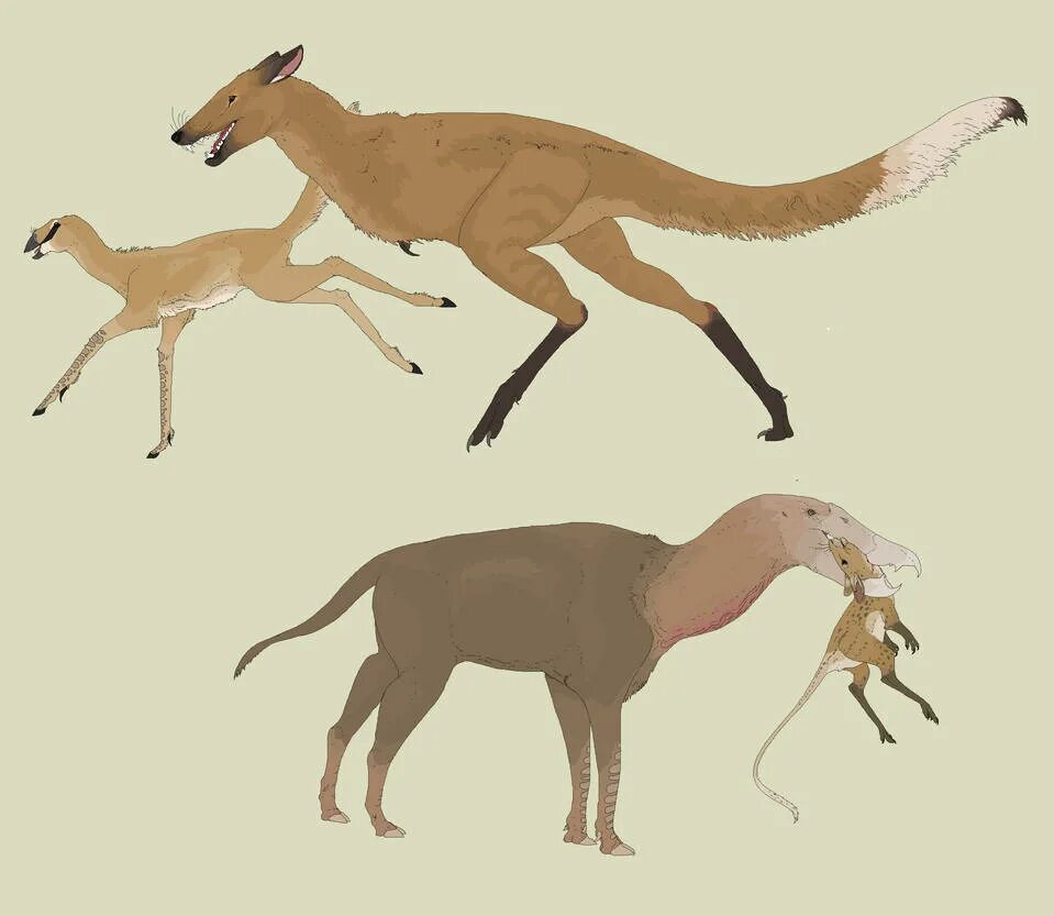 Невероятные животные будущего. Животные будущего. Невероятные животные будущего. Животные в будущем. Диксон эволюцион.