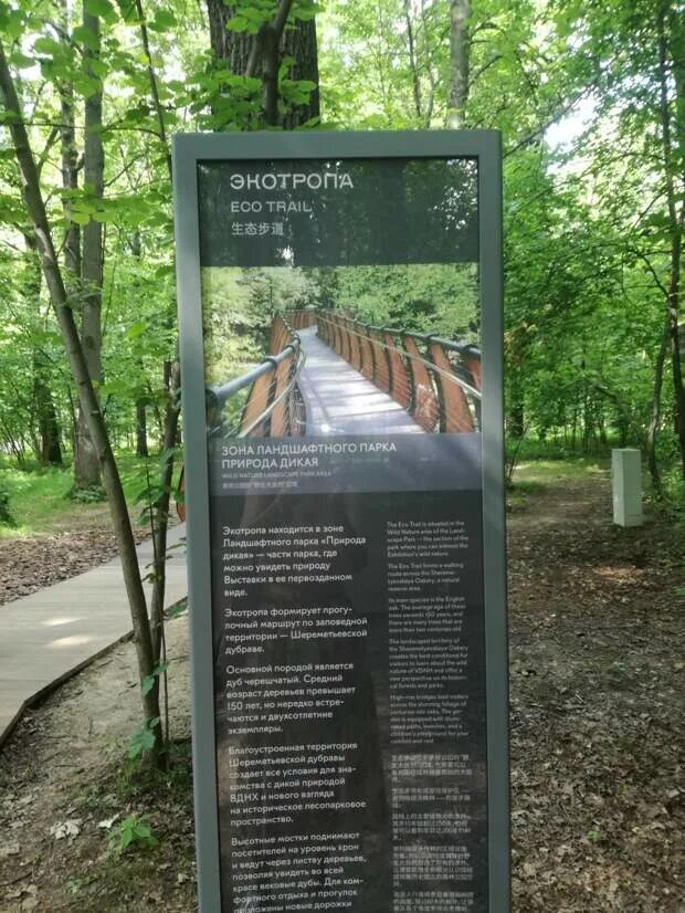 Экотропа зеленогорск. Болото в сестрорецке экотропа. Экотропа в шереметьевской дубраве на вднх. Ботанический сад юфу схема. Экологическая тропа комарово спб.