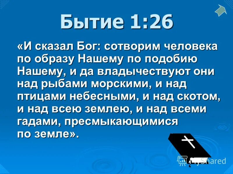 Сказал бог сотворим. Бог создал человека по образу и подобию. Создание человека по образу и подобию. Сотворил Бог человека по образу и подобию своему. И сказал Бог: сотворим человека по образу нашему.