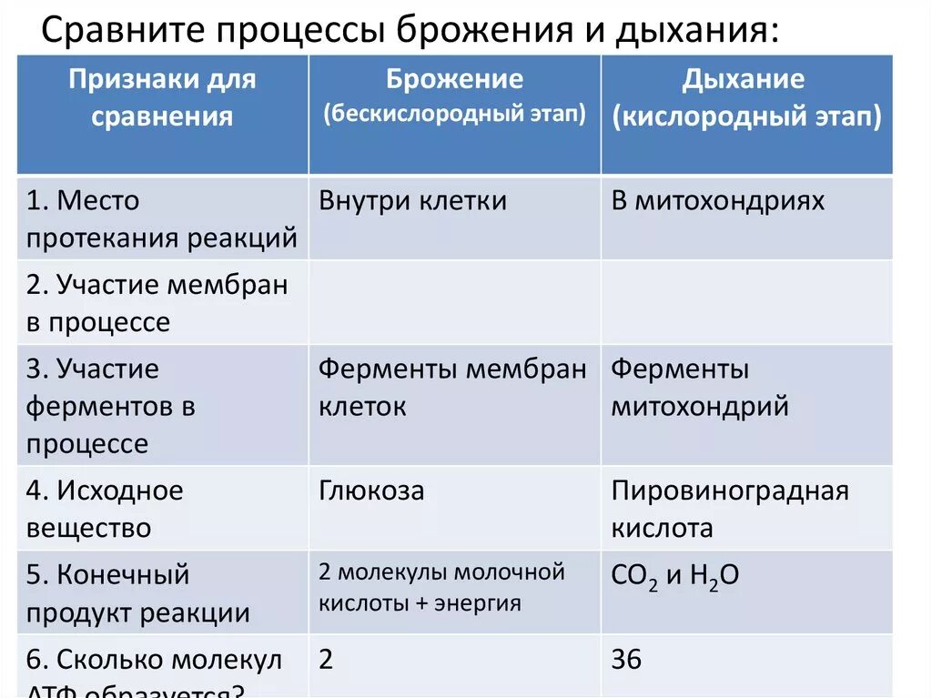 Таблица сравнение дыхания. Сравнение брожения и дыхания. Сравнение процессов брожения и дыхания. Сравнительная таблица процессов брожения и дыхания. Сравнение процессов брожения и дыхания практическая работа.