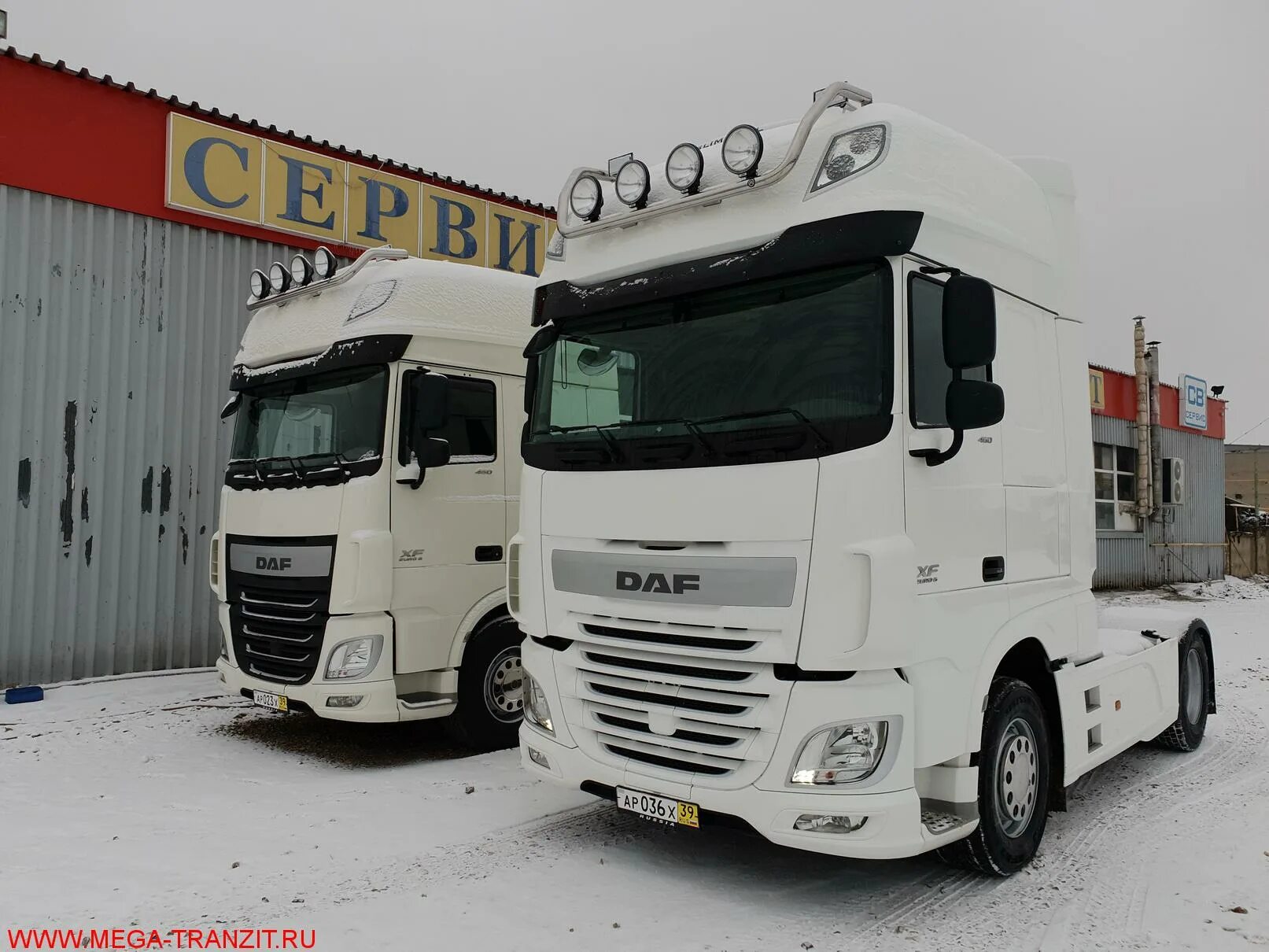 Тягачи даф 106. Daf xf 106 тягач. Тягачи даф 106. Daf xf 106 460 белый. Daf xf 106 белый.