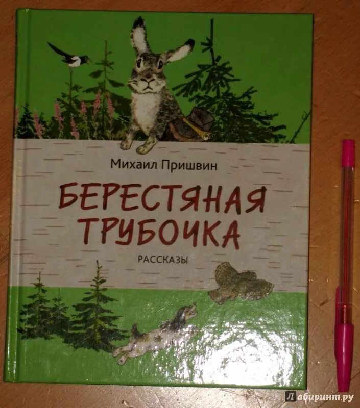 Текст берестяная трубочка. Пришвина берестяная трубочка. Книги Пришвина берестяная трубочка.