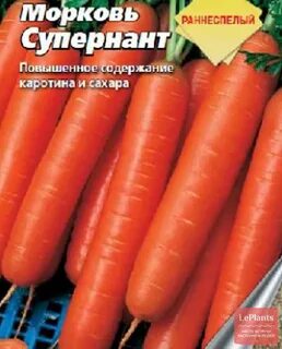 Предложения сорт