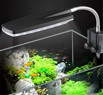 Аквариум led