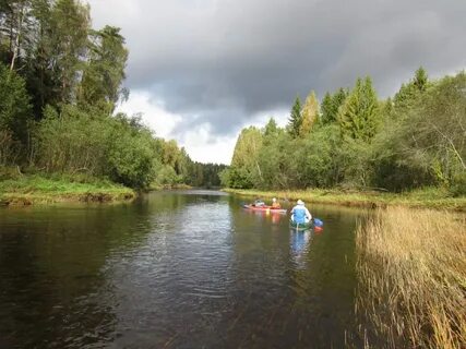 Река медведица тверская