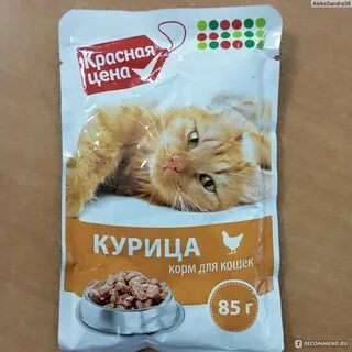 Корм для кошек в пятерочке
