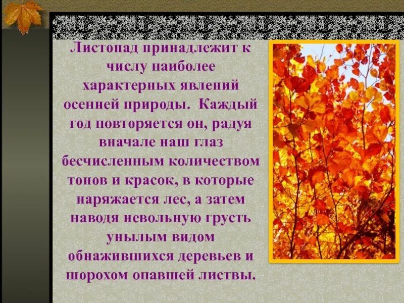 Какое значение имеет листопад. Презентация на тему листопад. осенние явления природы. явления природы листопад. осенние явления в жизни.