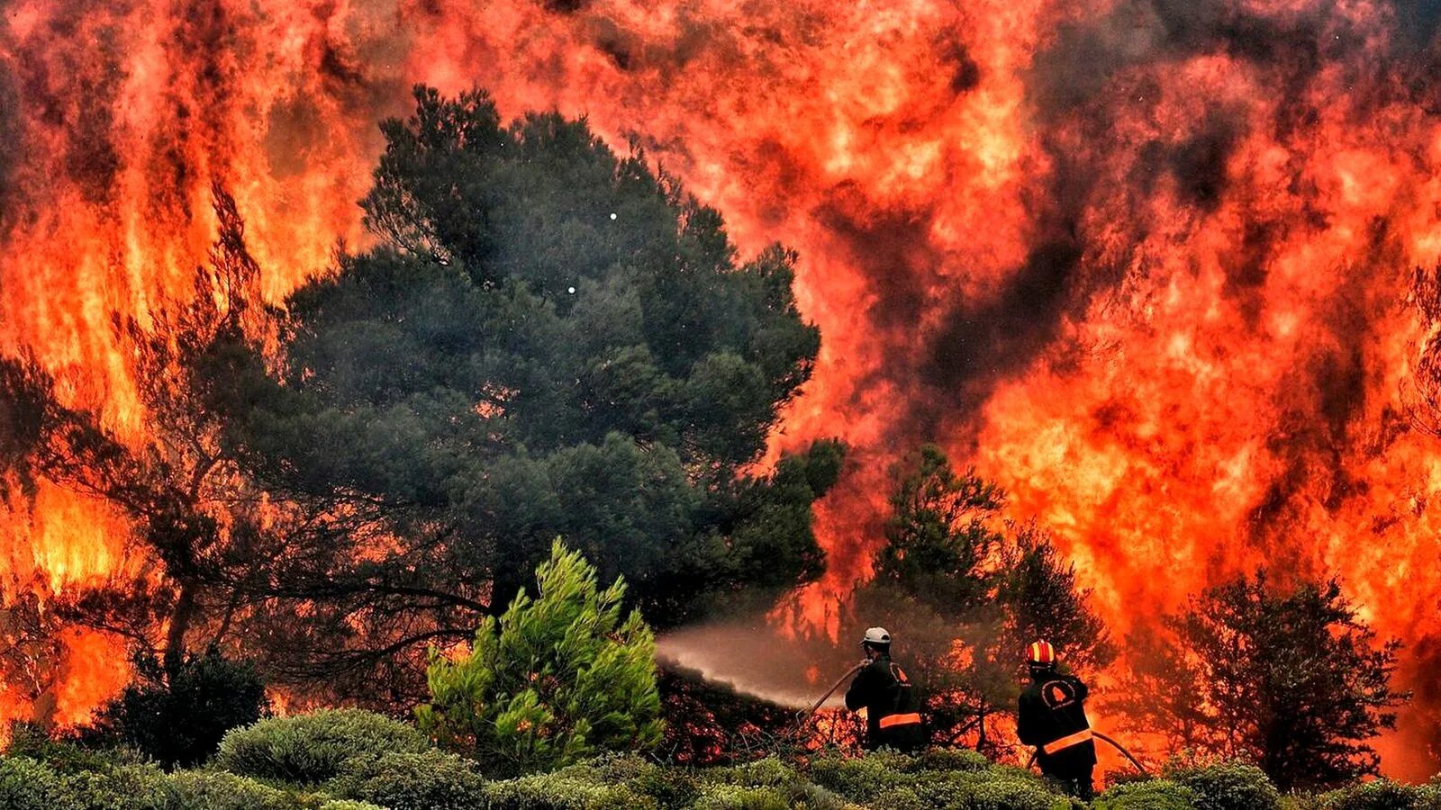 Стихийные бедствия. Пожар картинки. Природные катаклизмы пожары. Пожар. Катаклизмы природы 23 марта.