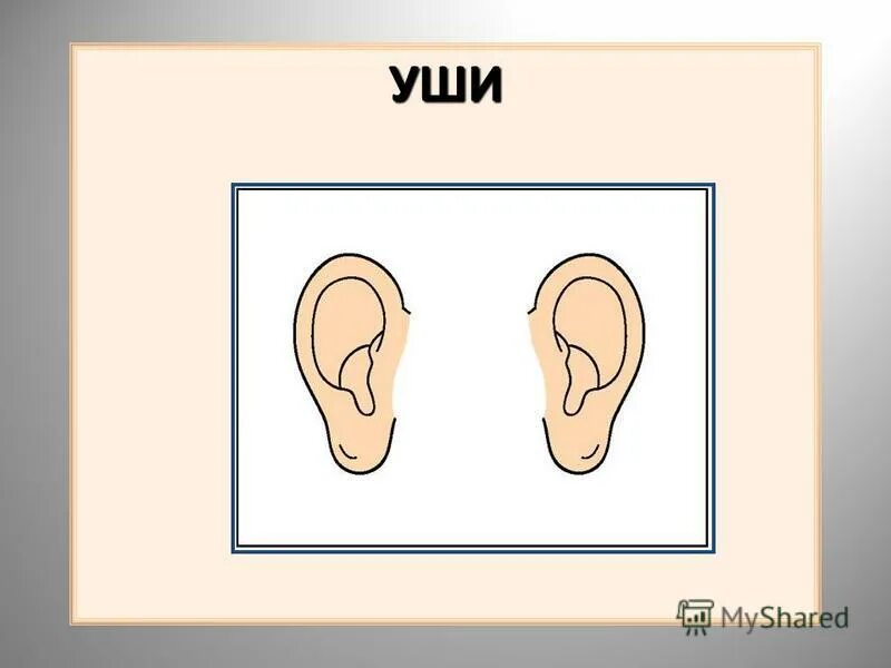 головная боль мем. голова человека. голова юмор. головная боль. пропорции лица человека профиль и анфас.