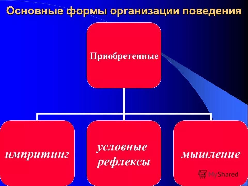 Рефлекторное мышление. Поведение в организации. ВНД это в экономике. Структурные основы жизни.