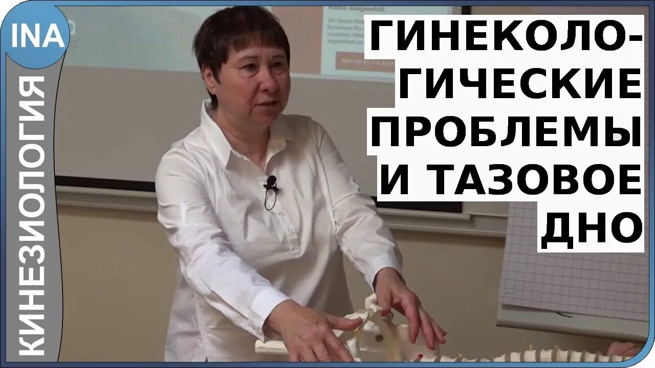 Что такое л ф. Что такое л ф