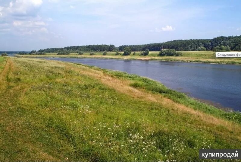 Броды Тверская область Старицкий район. Старицкий район деревня Броды. Данилова Слобода Старицкий район Тверская область. Берег Волги Старицкий район.