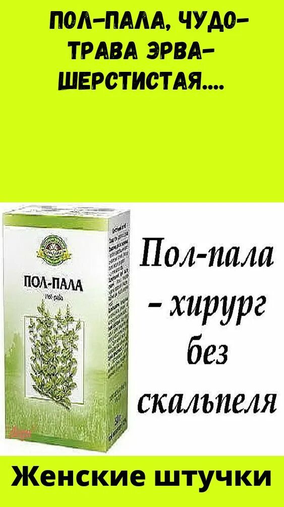 Пол пала цены. Пол-пала трава эрвы шерстистой показания. Пол-пала (эрва шерстистая) трава 30г. Чай эрва шерстистая. Трава эрва шерстистая инструкция.