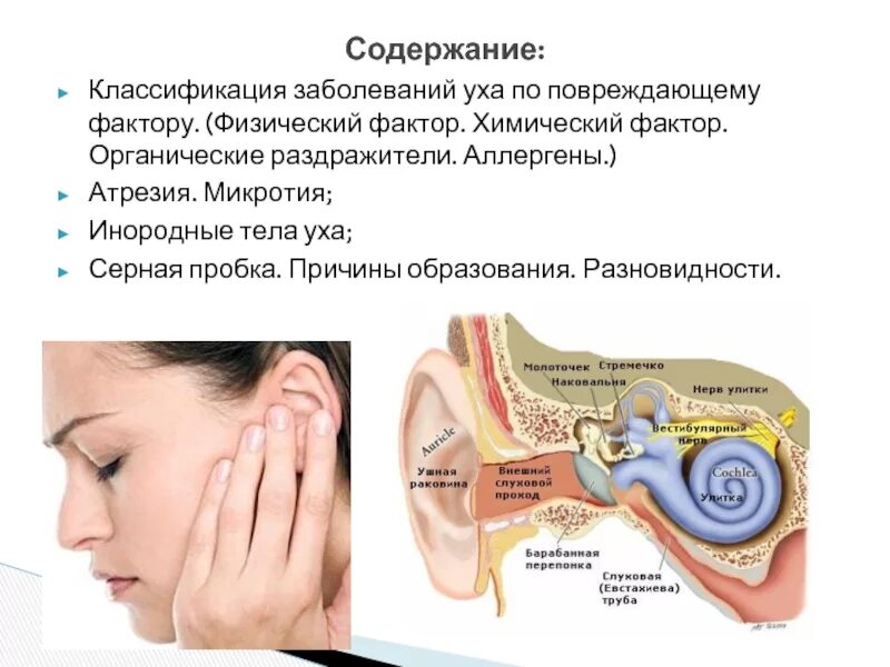 Симптомы заболевания наружного уха серная пробка. Ухо строение серная пробка. Заболевания уха классификация. Причины заболеваний уха.