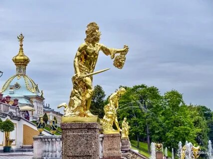 Питер перси