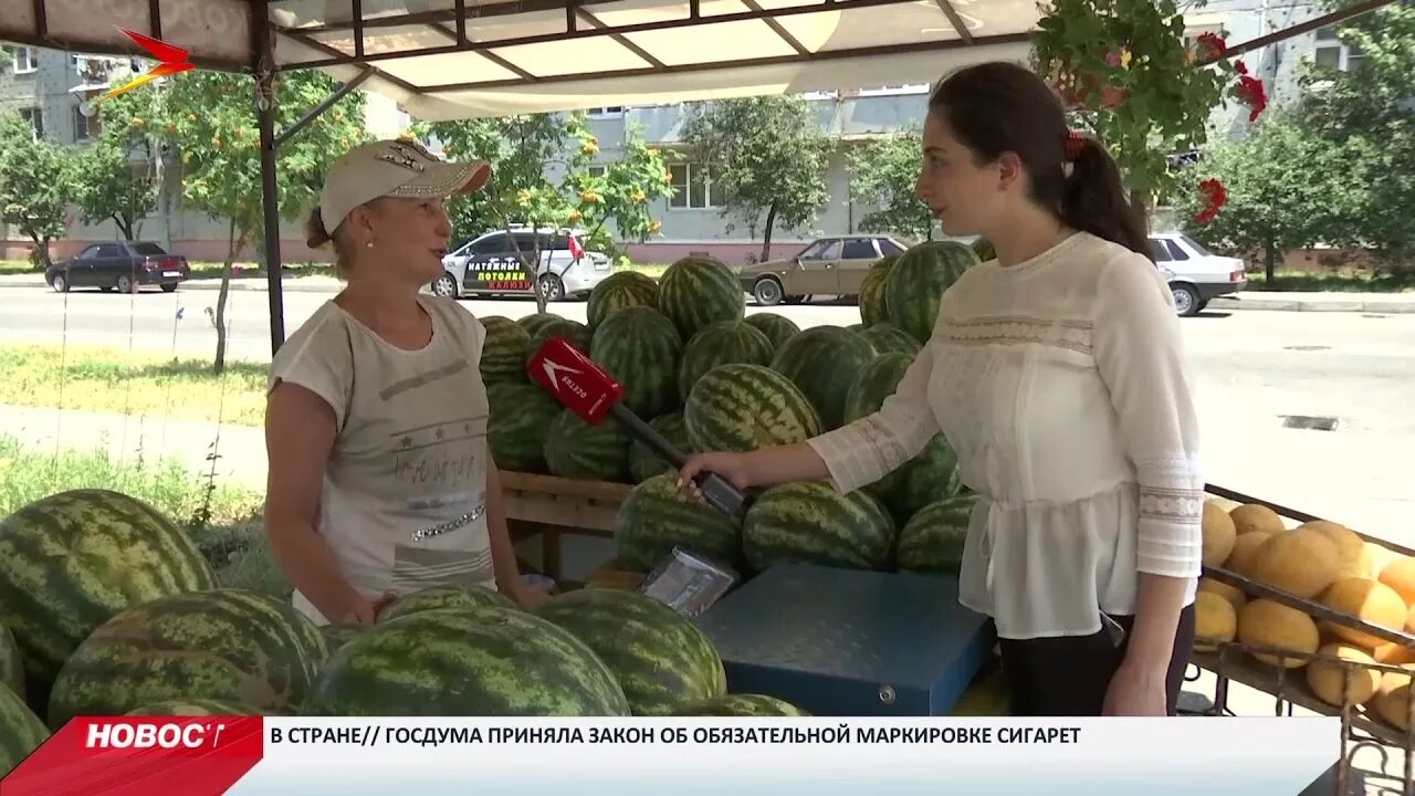 Мфц арбузов. Мфц арбузов