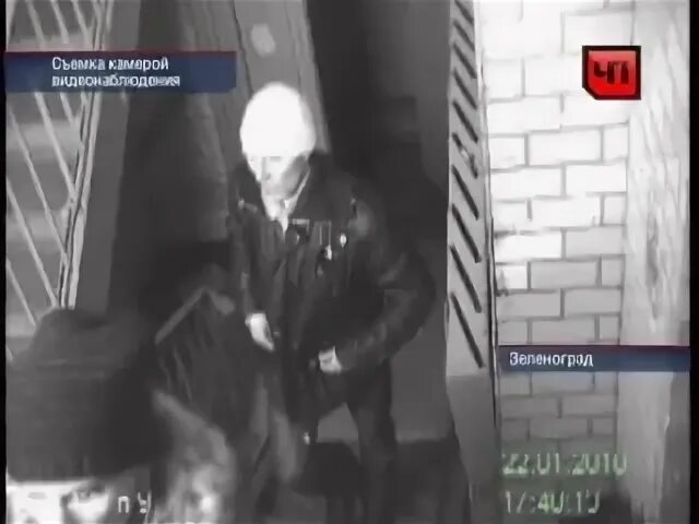 Черный дельфин и полярная сова. Выпустили зеленоградского маньяка. Выпустили зеленоградского маньяка. Выпустили зеленоградского маньяка. Выпустили зеленоградского маньяка.