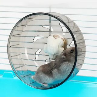 Какое колесо нужно для хомяка