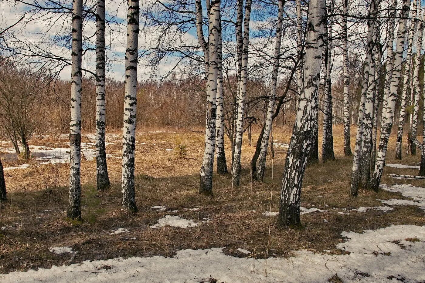 Снег сходит с пригорков веселыми. Снег сошёл - фото. Снег сошел. Март на дачном участке, когда еще не сошел снег.