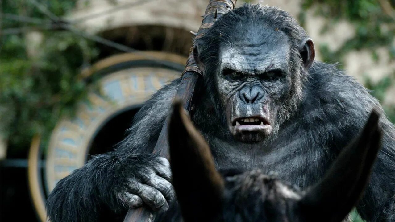 Человек обезьяна название. Koba Planet of the Apes. Планета обезьян рисунки.