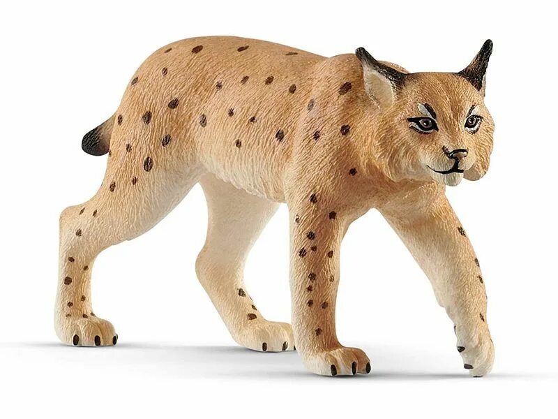 Дикие животные купить. Schleich Рысь 14822. Рысь шляйх. Фигурка Пума Schleich. Collecta Рысь.