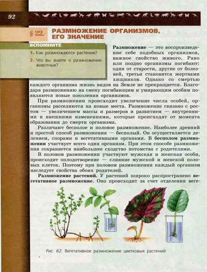 Содержание учебника биологии 6 класс пасечник. Пасечник биология 6 класс новый. Биология. 6 Класс. Учебник. Книга по биологии 6 класс. Учебник по биологии 6 класс растения.