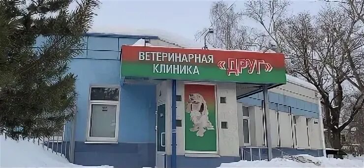 ветклиника друг нижний новгород. ветклиника друг нижний новгород. ветеринарная клиника друг электросталь на николаева. ветеринарная клиника дружбы 3. ветклиника друг тольятти.