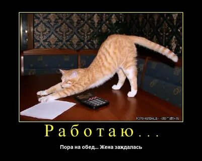 Ток с работы пришла