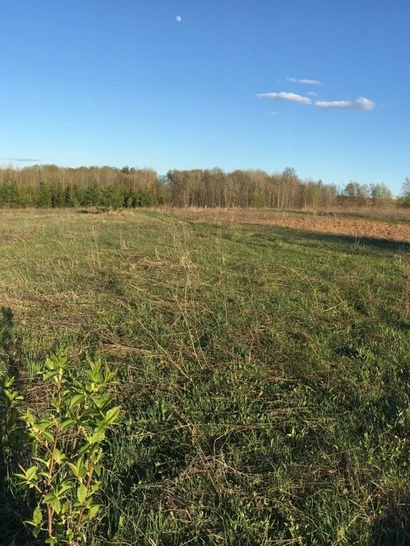 Деревня Ивановка Красноярский край Партизанский район. Полевой участок. 3 Полысаево, полевой участок. Продажа земли в полевом.