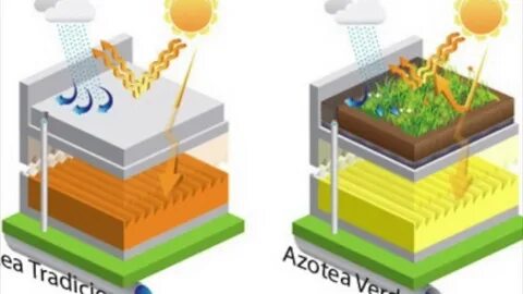 Green comparative