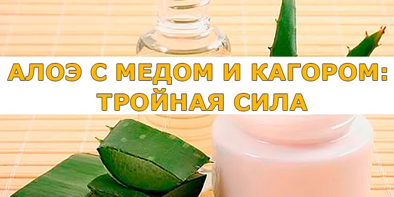 Алоэ мед кагор. Алоэ с медом и кагором тройная сила. Алоэ народные средства. Алоэ с медом. Рецепт настойки алоэ кагор