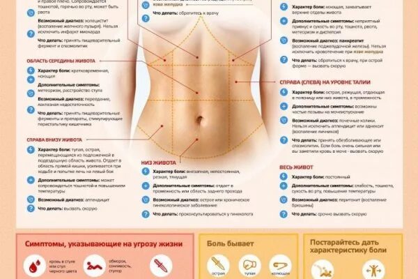 Ноет внизу живота отдает в поясницу. Справа внизу живота. Болит живот. Рези в левой части живота. Боль справа внизу живота.