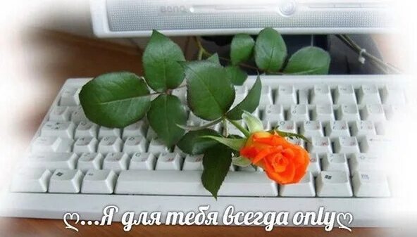 Какого виртуального друга