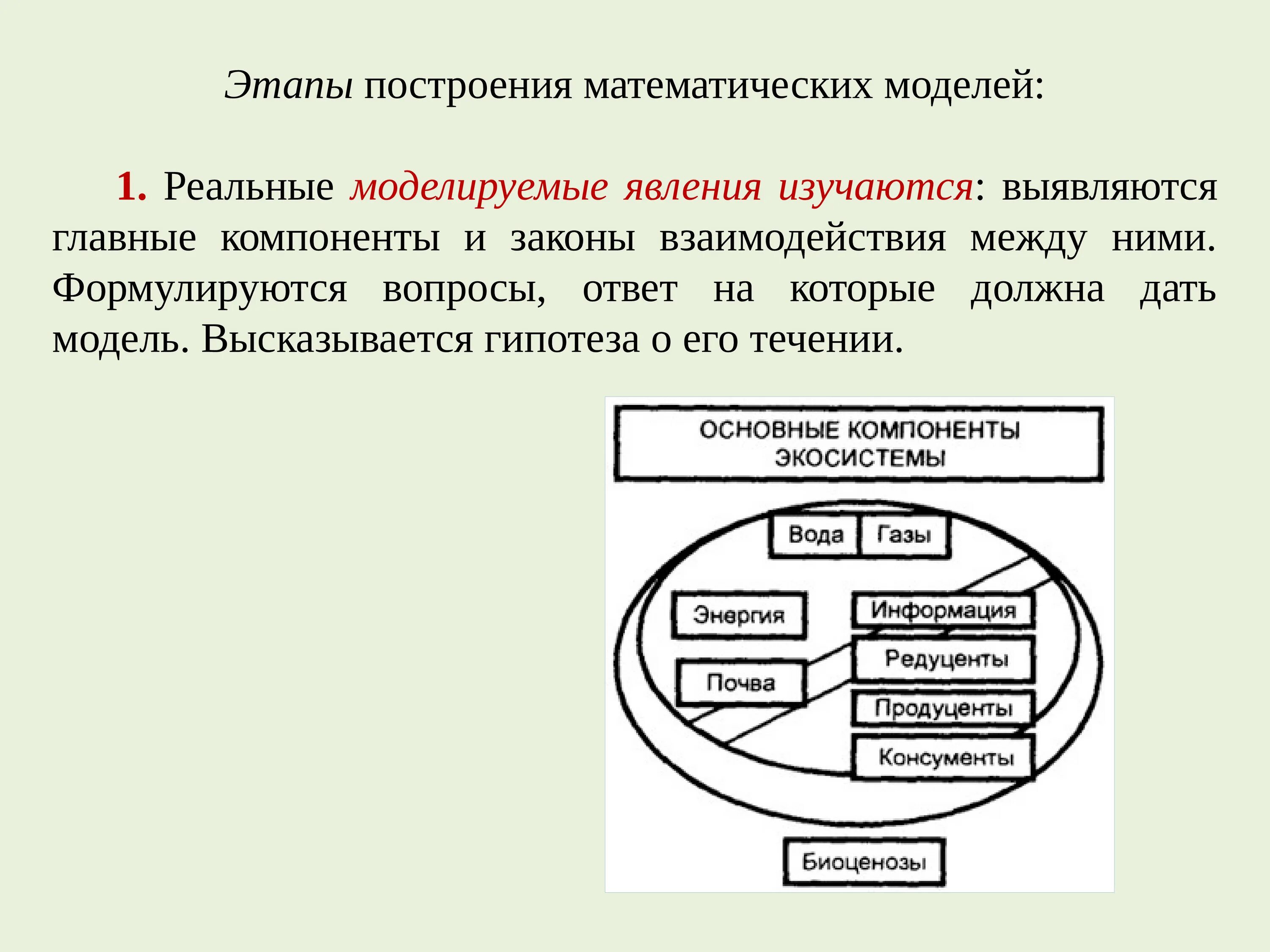 Математическое моделирование в экологии. Математические методы моделирование в экологии. Этапы построения математической модели. Математическое моделирование в экологии модели.