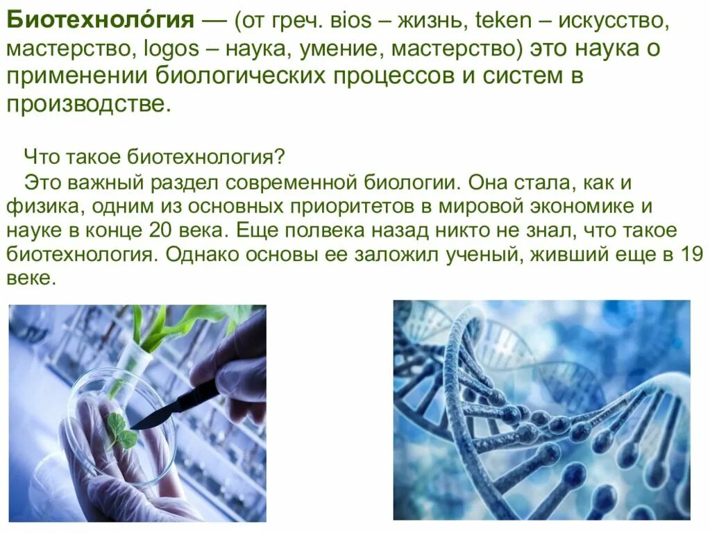 Биотехнология 10 класс. Биотехнология. Биотехнология презентация. Презентация по биотехнологии. Биотехнология слайд.