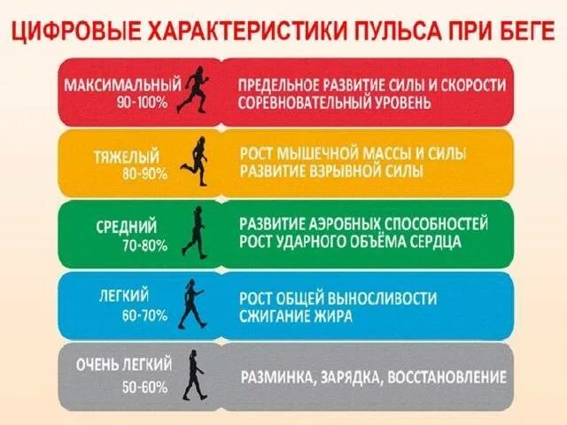 Какого принципа не стоит придерживаться на тренировках. Пульсовые зоны. Зоны пульса для тренировок. Пульс при беге. Зоны пульса для тренировок бег.